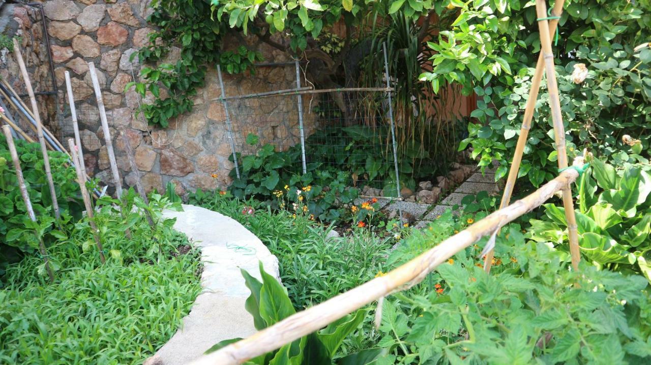 Апартаменты La Casa Di Elba E Mario Порто Санто Стефано Экстерьер фото